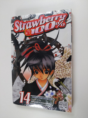 Mizuki Kawashita : Strawberry 100%, vol 14