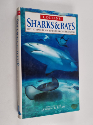 Sharks & rays