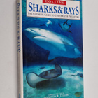 Sharks & rays - pikkukuva 1