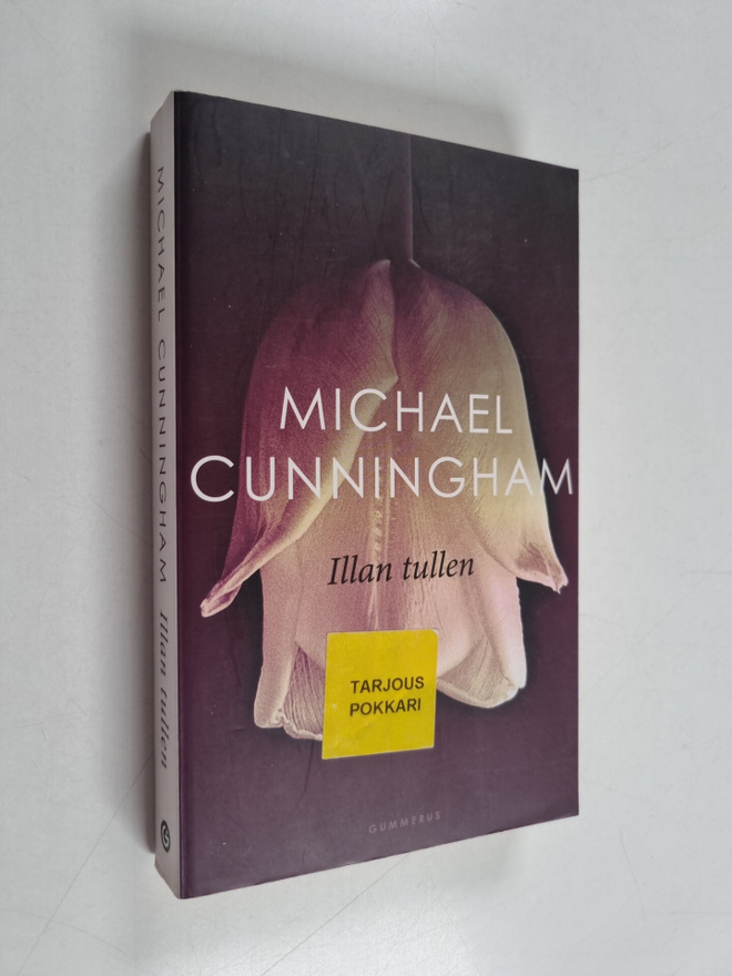 Michael Cunningham : Illan tullen