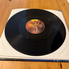 Iron maiden fear of the dark  LP - pikkukuva 5
