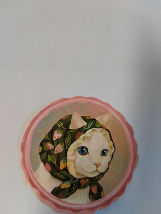 Kissa tarra.