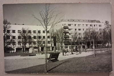 Rauma: Puisto o (377)