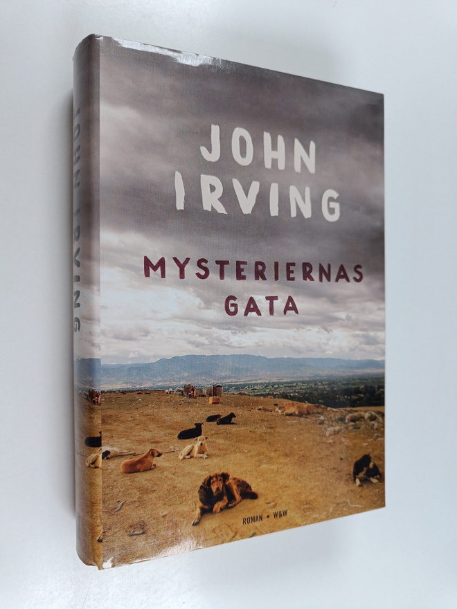 John Irving : Mysteriernas gata : roman