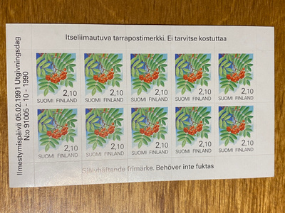 YLEISMERKKI PIHLAJA ARKKI**