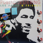LEE PERRY & FRIENDS - PUBLIC JESTERING - UK 1990 M-/M- LP - pikkukuva 1