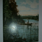 Viitasaari, Ilmajärvi, väripk, p. 1904 - pikkukuva 1
