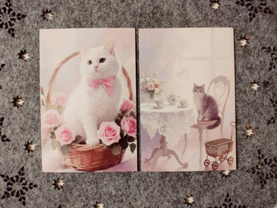 ~Kissa kortti~ 2kpl
