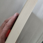 Kathy Reichs Jäinen pelko - pikkukuva 3