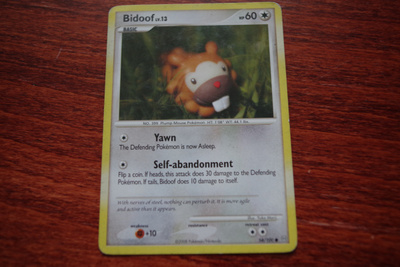 Bidoof 54/100, Stormfront (2008), common