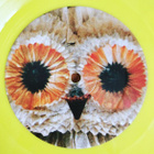 GOLDFRAPP: Seventh Tree LP + taideprintti (Keltainen vinyyli - pikkukuva 4