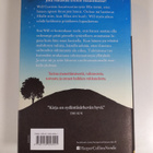 S. D. Robertson : Hyvästien aika - pikkukuva 2