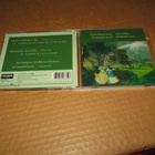 Norwegian Radio Orchesta&Ari Rasilainen CD Tchaikovsky 1999 - pikkukuva 1