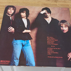 Patti Smith group Easter LP - pikkukuva 2