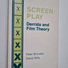 Peter Brunette : Screen/play : Derrida and film theory - pikkukuva 1