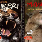 2 KPL DVD ELOKUVIA - pikkukuva 1