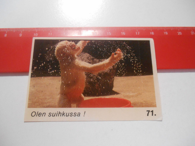 K13 Jenkki Kuvahuuli tarris # 71 Olen suihkussa !