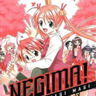 Negima Omnibus 9 - pikkukuva 2