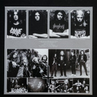Grave: Into the grave LP Nesi Media - pikkukuva 5