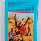 Enid Blyton : Viisikko salaperäisellä nummella - pikkukuva 2