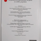 La production quotidienne du genre en milieu populaire - pikkukuva 2