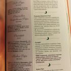 Oivalliset ottiperhot - pikkukuva 5