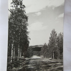 Postikortti Lappi Levitunturi 1950-l Alkup.Mallikappale - pikkukuva 1