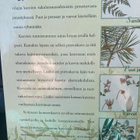 KOTIMAAN LUONNONKASVIT - pikkukuva 2