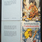 Tule takaisin Menninkäinen! & Uudenkuunjuhla (KK Suosalmi) - pikkukuva 2