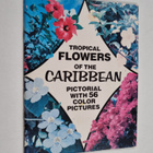Tropical Flowers of the Caribbean - pikkukuva 1