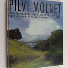Pilvi : Ruotsalainen maisemamaalaus 1800-luvulla - pikkukuva 1