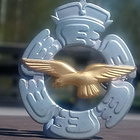 SA - Ilmavoimat kokardi. Halkaisija - 44 mm. - pikkukuva 5