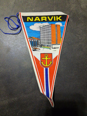 Viiri Narvik