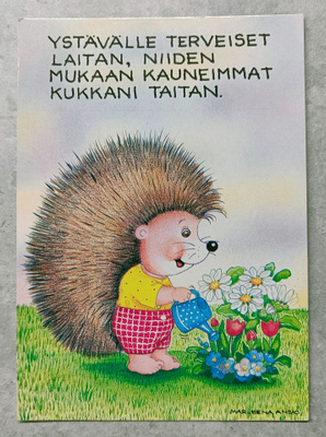 Marleena Ansio