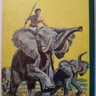 Tarzan vuosikirja 1970 - pikkukuva 2