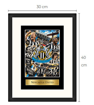 Uusi Newcastle United Shearer art print Limited Edition