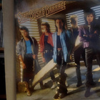 STAN  BUSH  &  BARRAGE  :::  VINYYLI   ALBUM  LP    1987  !! - pikkukuva 1