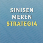 W. Chan Kim: Sinisen meren strategia - pikkukuva 1