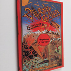Jules Verne : Vilagitotorony a vilag vegen - pikkukuva 1