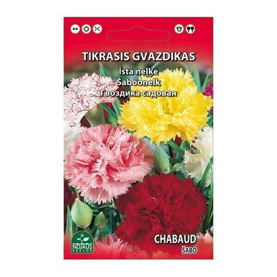 Tarhaneilikka "Chabaud" sekoitus siemenet#