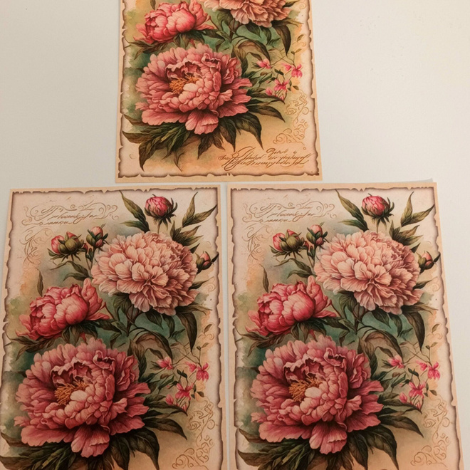 Korttikuvat PIONIT / 3 kpl -setti / A6