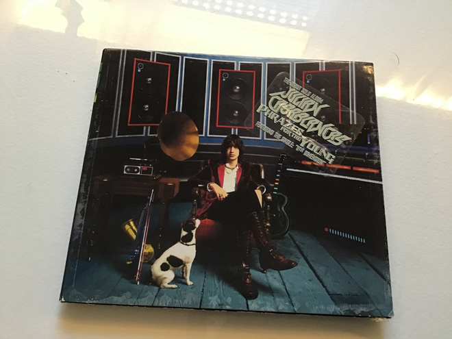 Julian Casablancas . Phrazes for the young CD the strokes