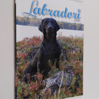 Labradori 3/2016 - pikkukuva 1