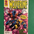 Wolverine 1-2001. Ensimmäinen numero. - pikkukuva 1