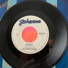 FAST BEETHOVENS: In All Big Cities * Allright * FIN 1983 - pikkukuva 2