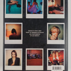 Steve Crist : The Polaroid book : selections from the Pol... - pikkukuva 2