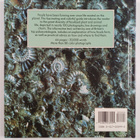 Dr Davis : Looking for fossils - pikkukuva 2