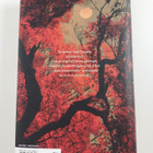 Amy Stanley : Stranger in the Shogun's city : a woman's l... - pikkukuva 2