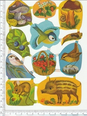 *Planet Verlag RB5 1296, upea eläimet -arkki *