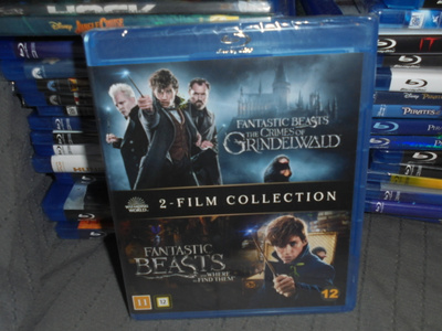 B-R Fantastic Beast ja Grindelwald, samassa kotelossa